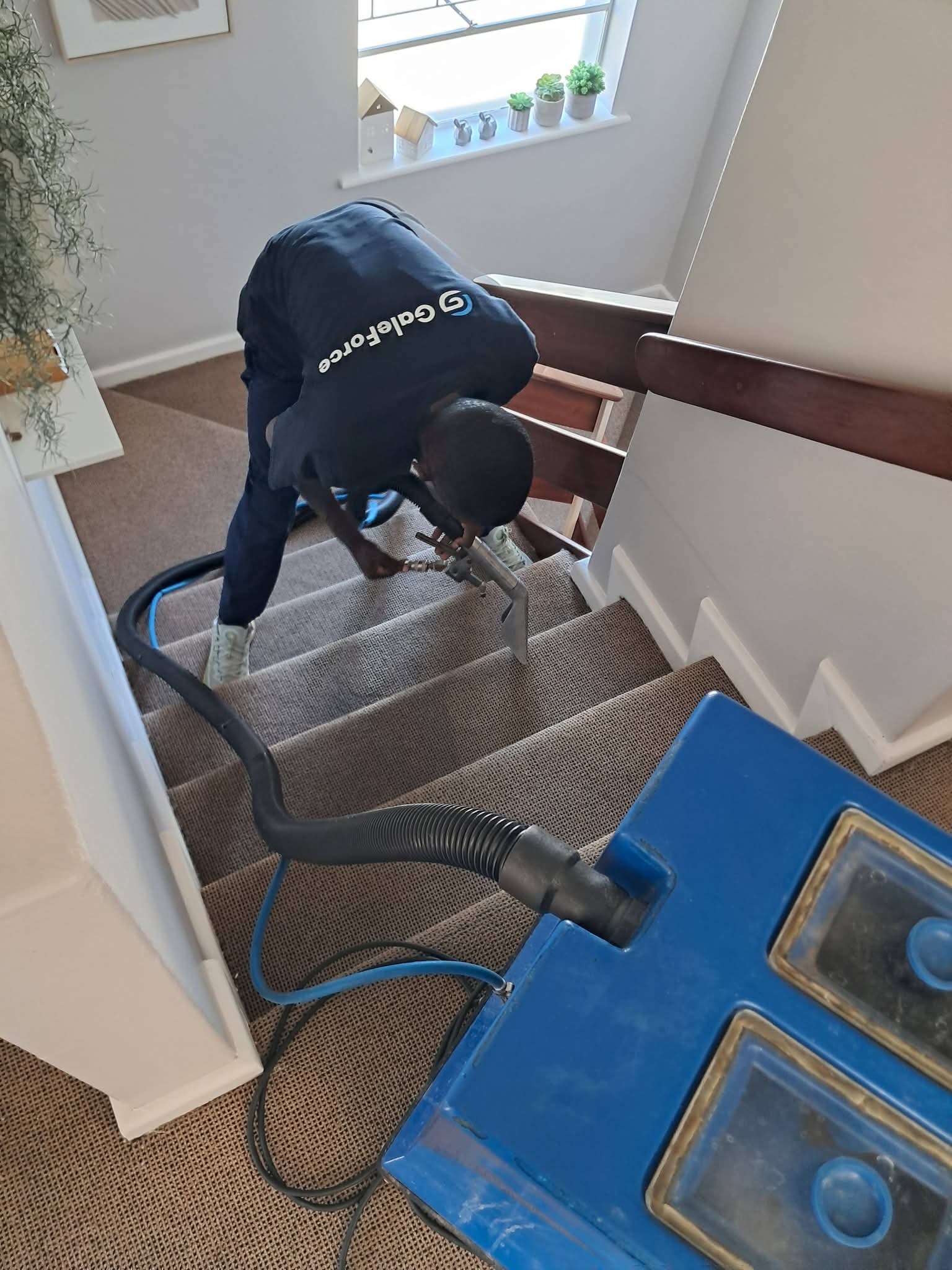 GaleForce worker cleaning carpeted stairs